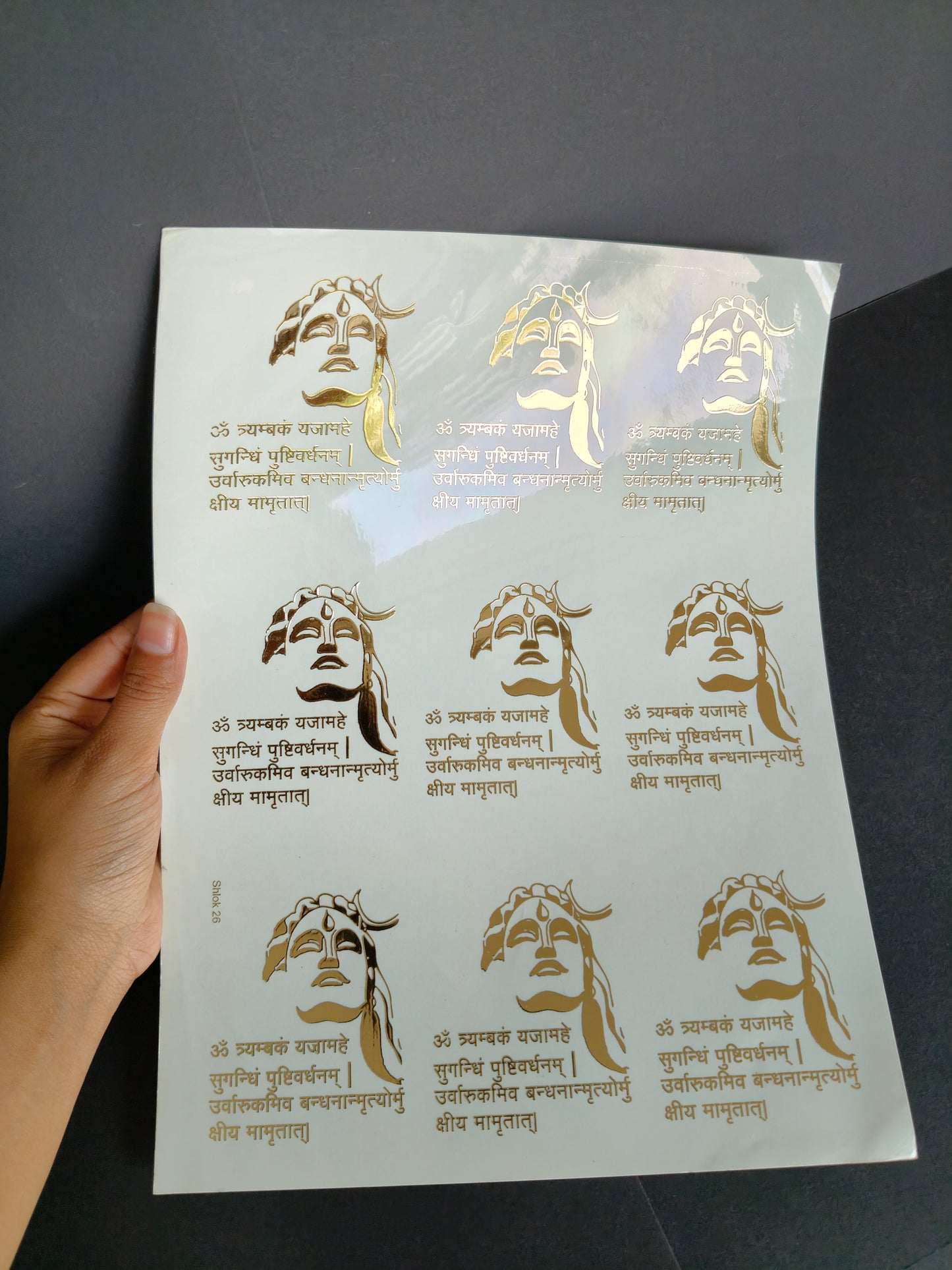 A4 Embossed Sticker Sheet-IS085