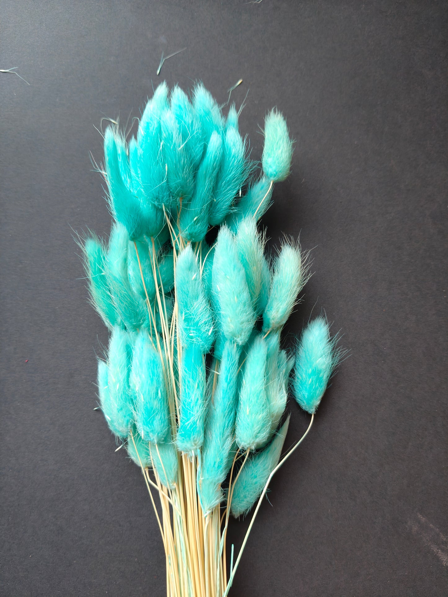 HF306-Sea blue Bunny tail