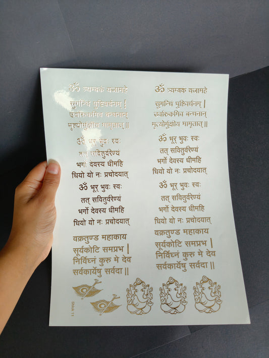 A4 Embossed Sticker Sheet-IS068