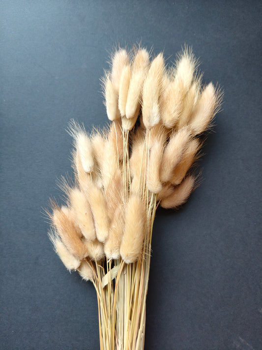 HF301-Beige Bunny tail