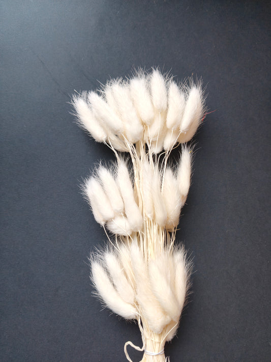 HF302-White Bunny tail