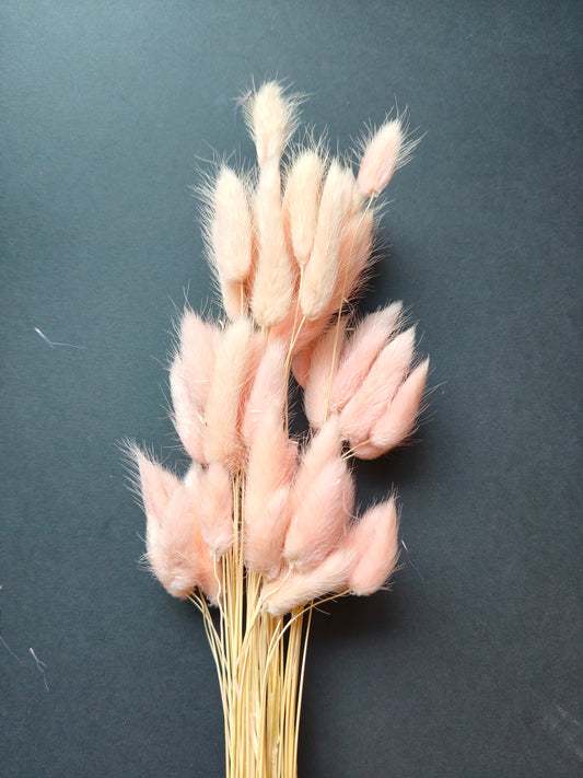 HF303-Light pink Bunny tail
