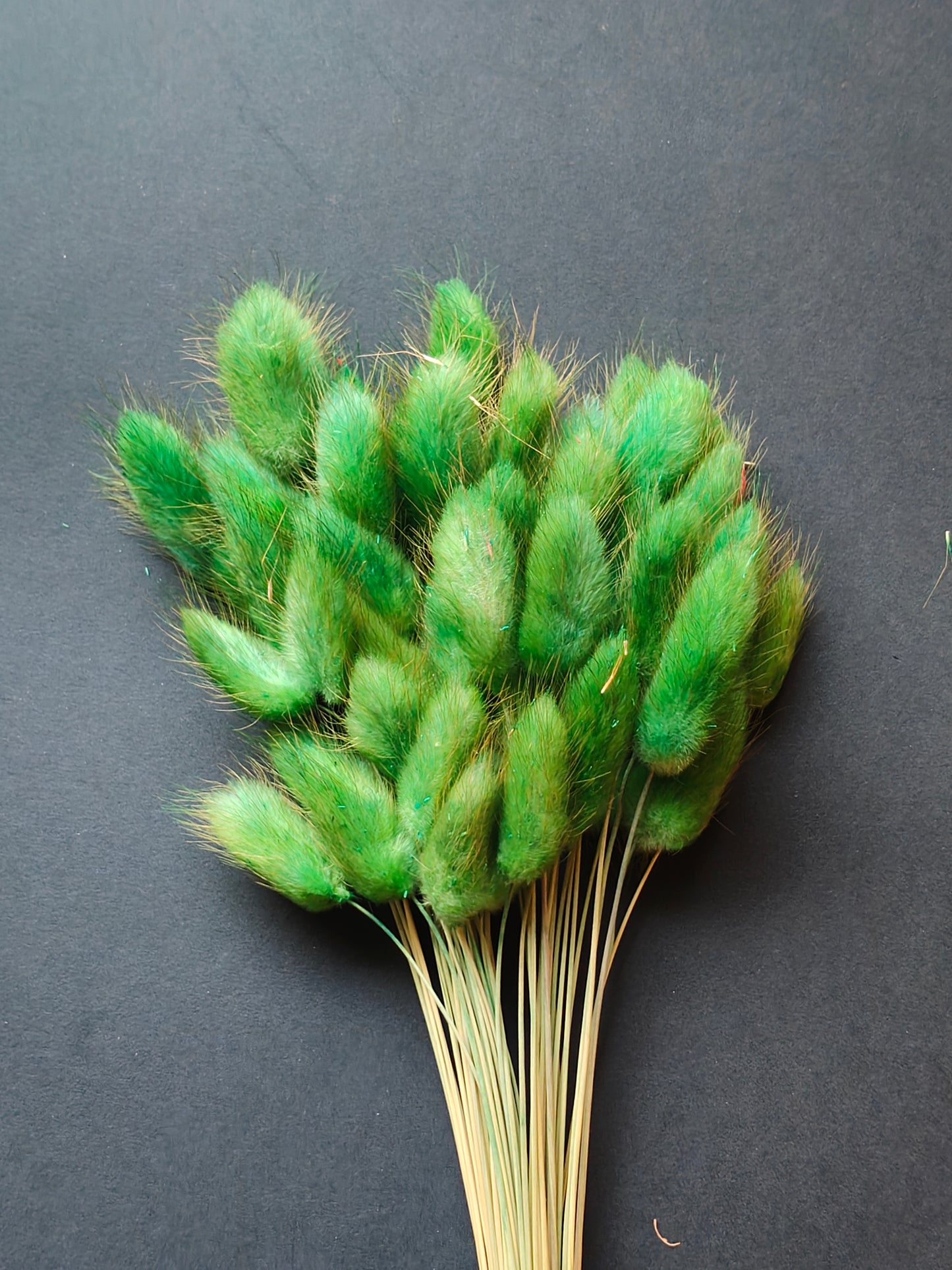 HF305-Green Bunny tail