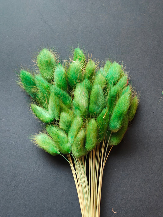 HF305-Green Bunny tail