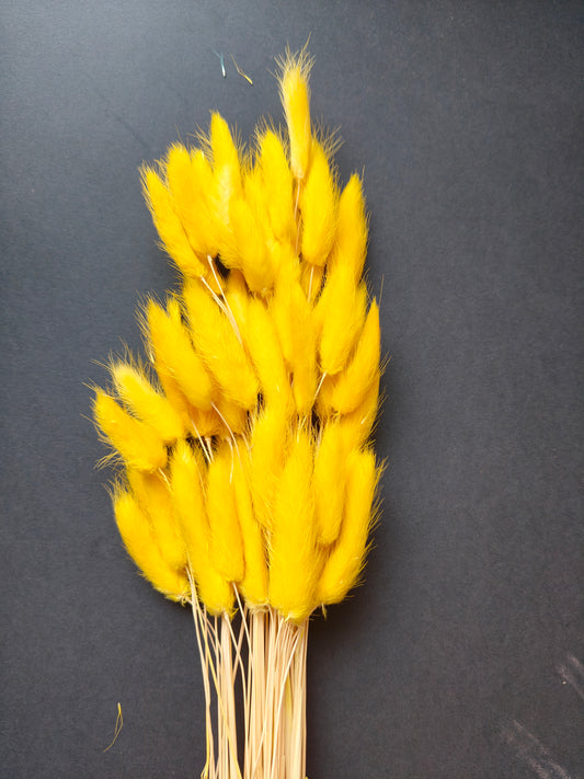 HF307-Yellow Bunny tail