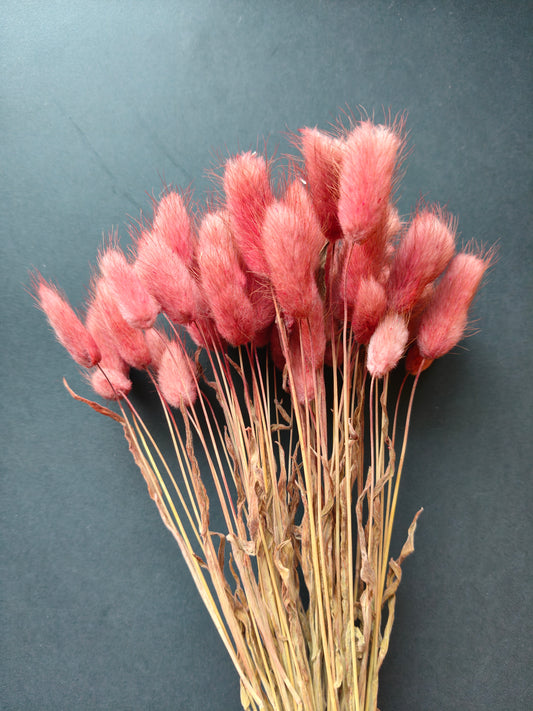 HF308-Maroon Bunny tail