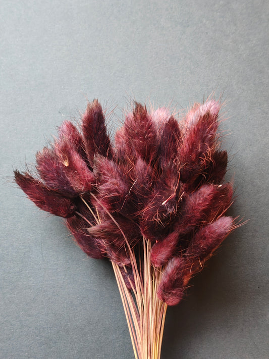 HF309-Wine red Bunny tail