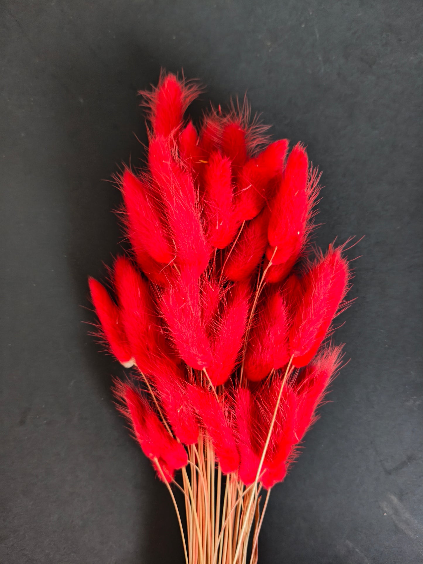 HF310-Red Bunny tail