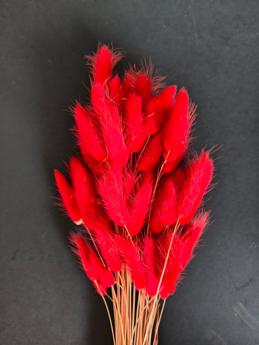 HF310-Red Bunny tail