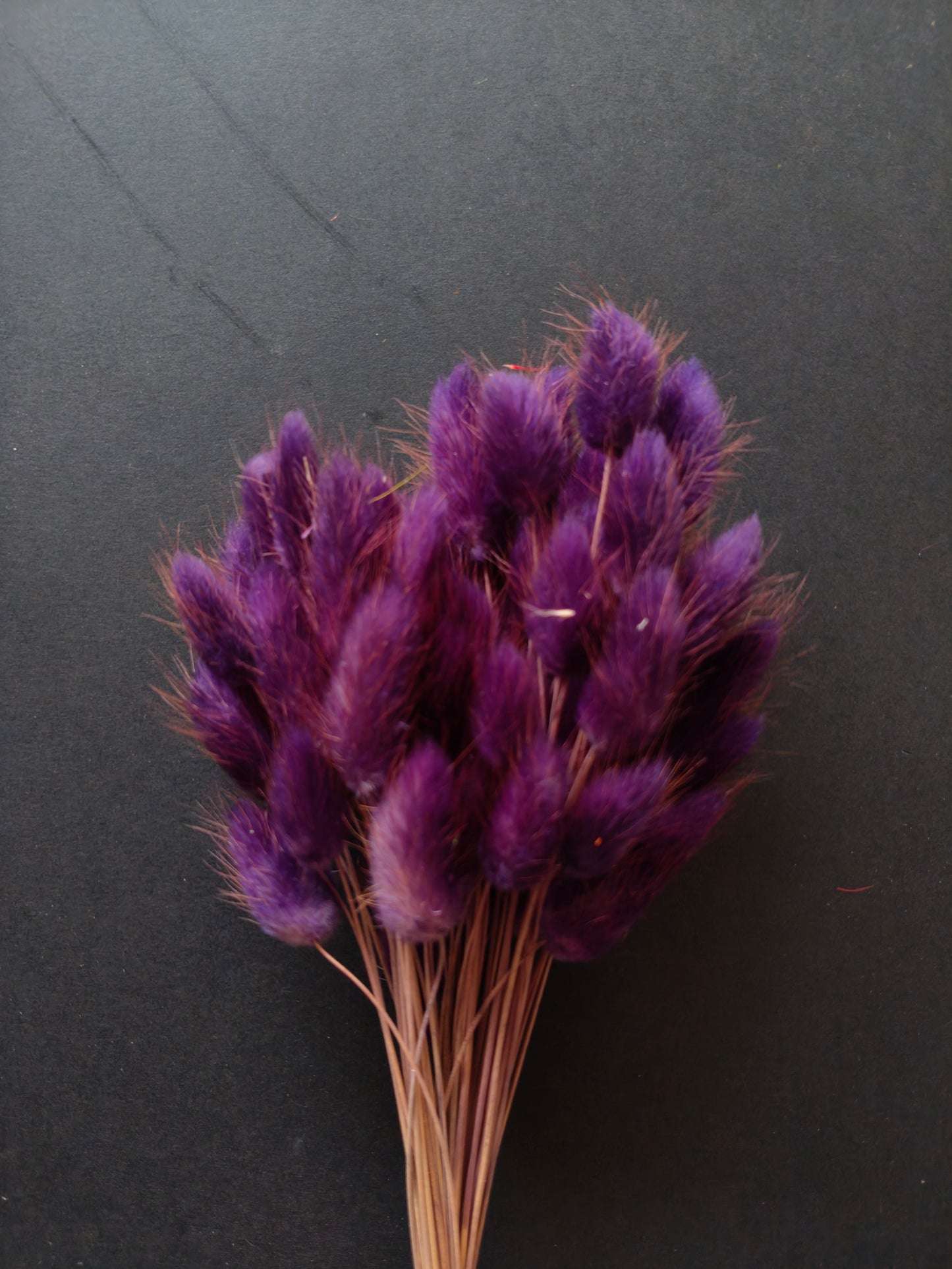 HF311-Violet Bunny tail