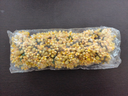 HF502-Light yellow Pollen