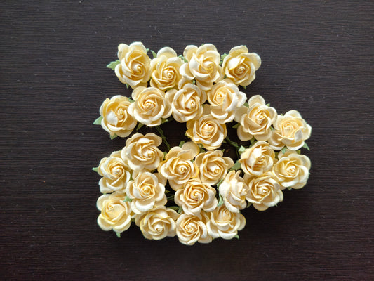 MF007- 35mm Mulberry roses