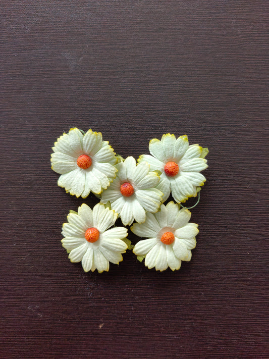 MF024- 45mm Mulberry daisy