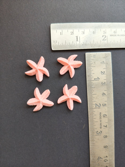 MN229- pink starfish miniature
