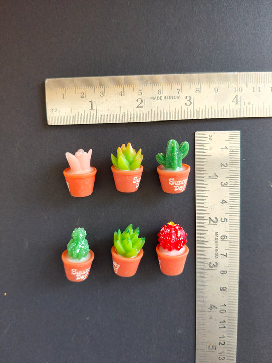 MN334- Plant miniature